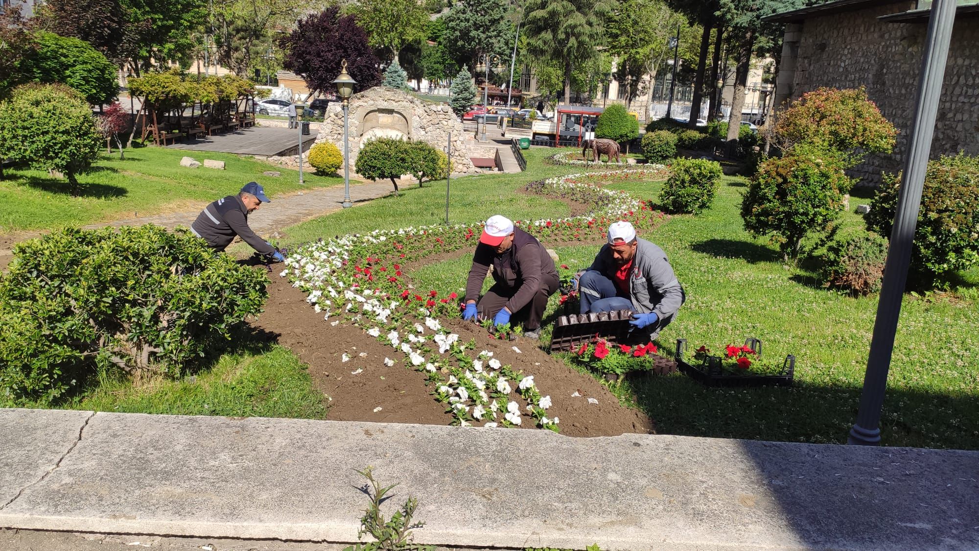 T.C. Amasya Belediyesi