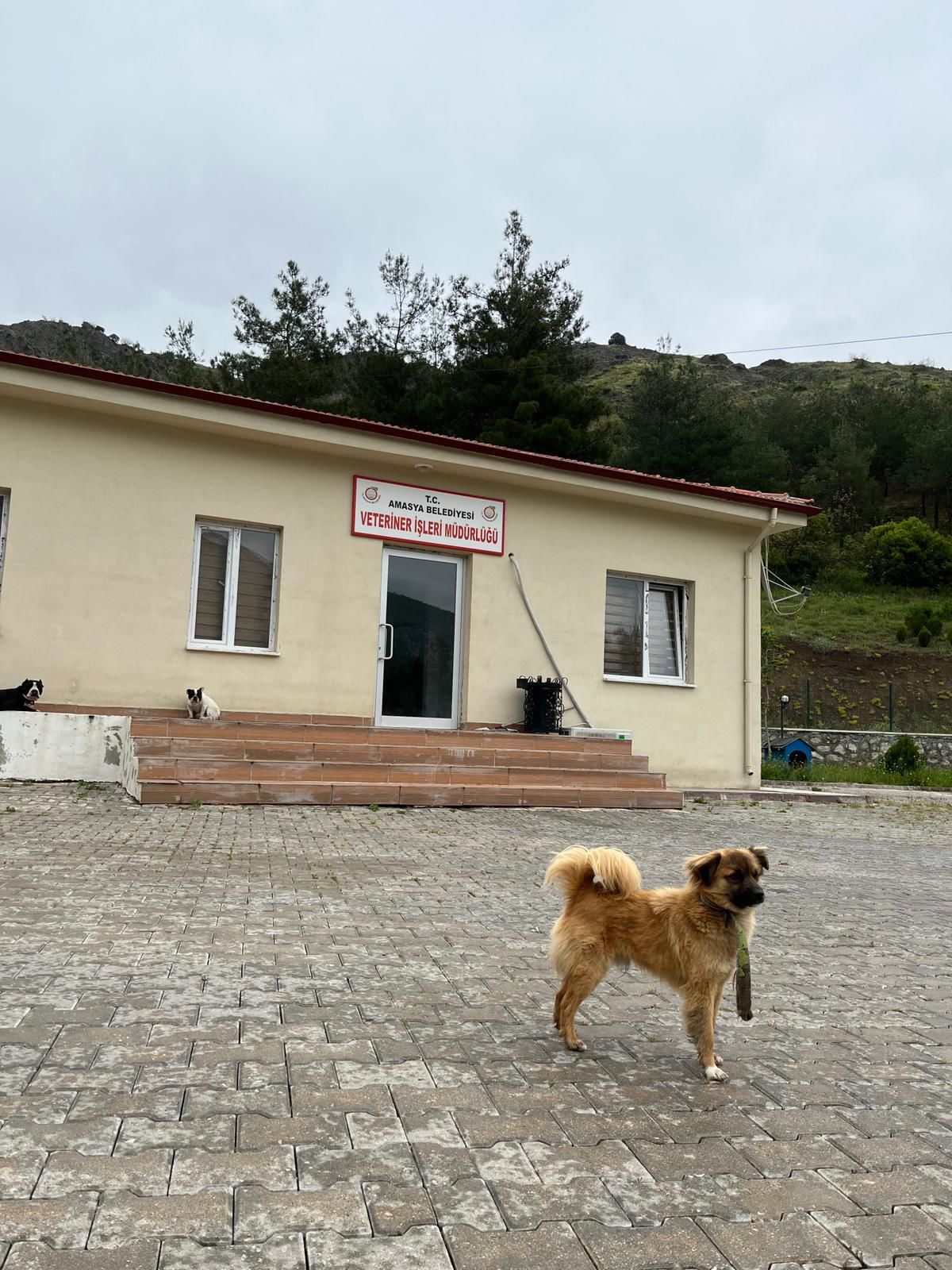 T.C. Amasya Belediyesi
