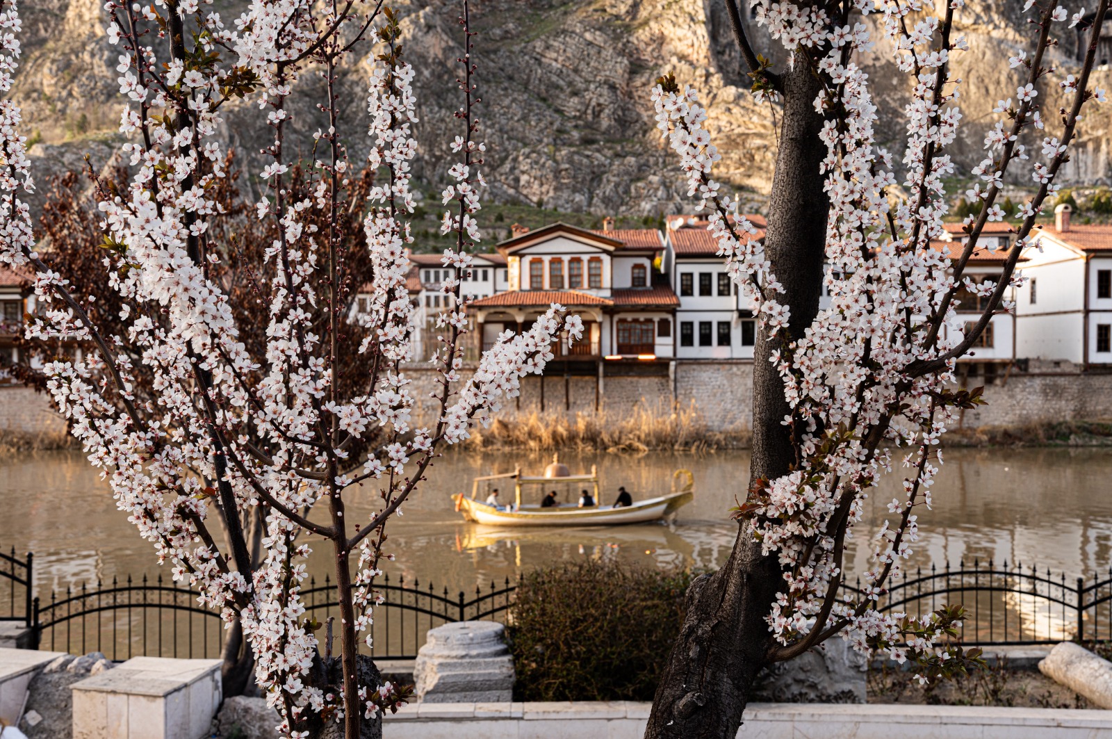 T.C. Amasya Belediyesi