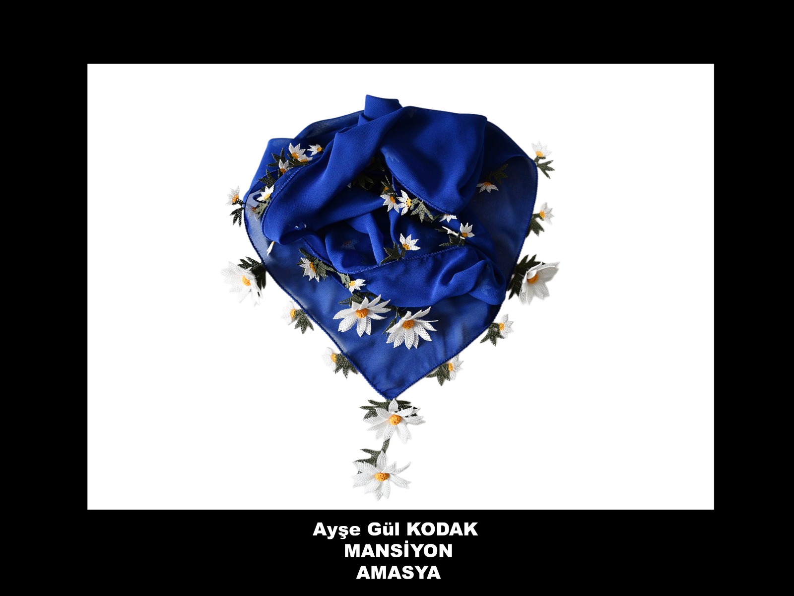 T.C. Amasya Belediyesi